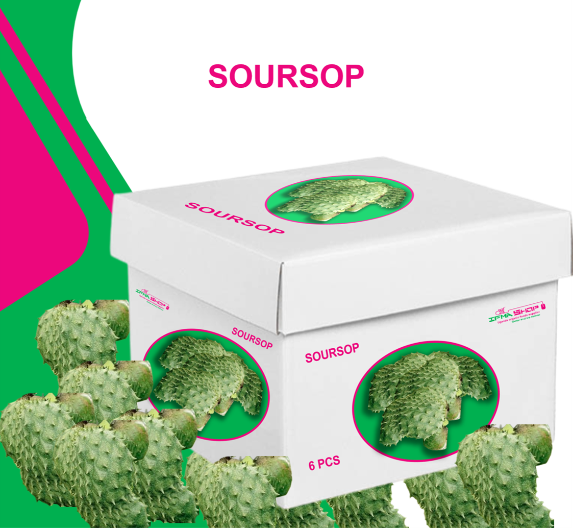 6 PCS    SOURSOP