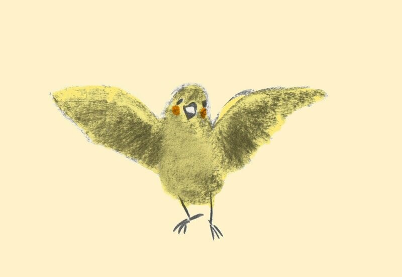 Vogel (10 Stück)