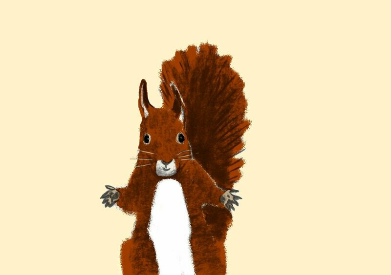 Eichhörnchen (10 Stück)