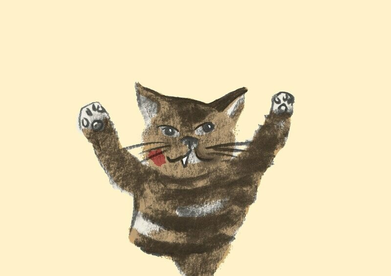 Katze (10 Stück)