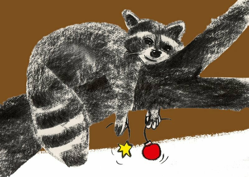 Waschbär-1  (10 Stück)