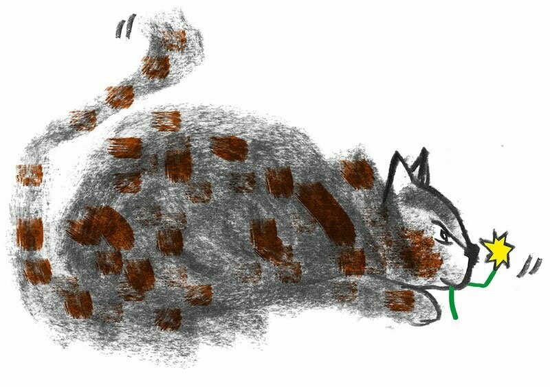 Katze_2  (10 Stück)