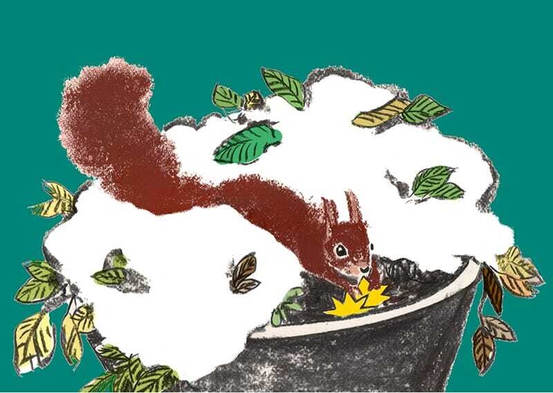 Eichhörnchen_1  (10 Stück)