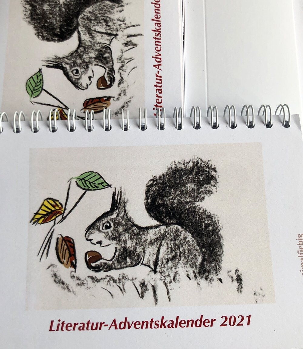 Literatur Adventskalender 2021