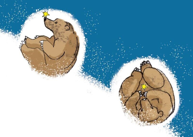 Bär_2 (10 Stück)