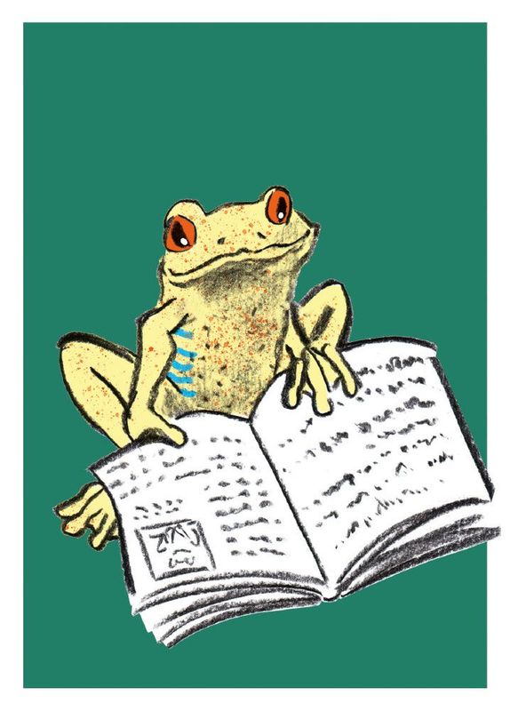 Frosch liest (10 Stück)