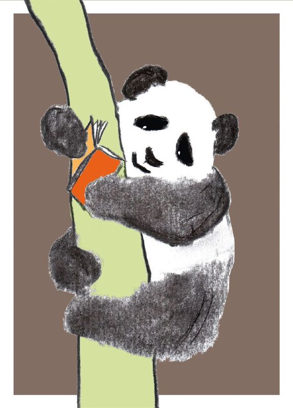 Panda liest (10 Stück)