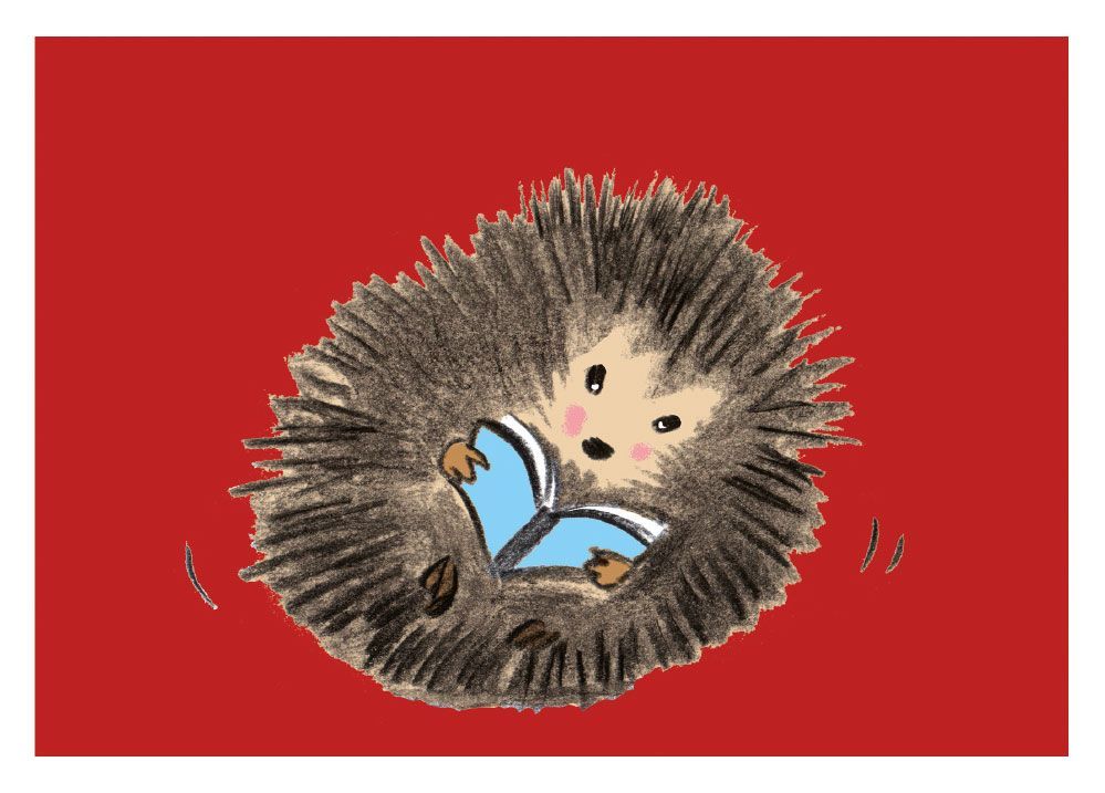 Igel liest (10 Stück)
