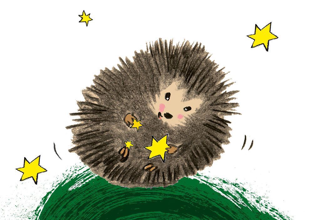 Igel_1  (10 Stück)