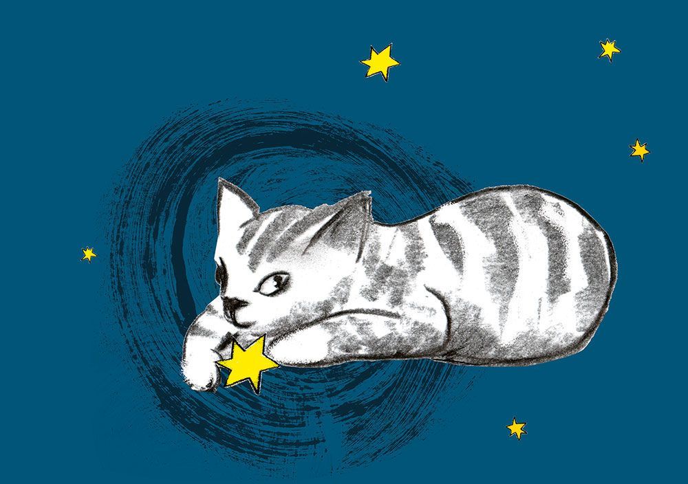 Katze_3  (10 Stück)