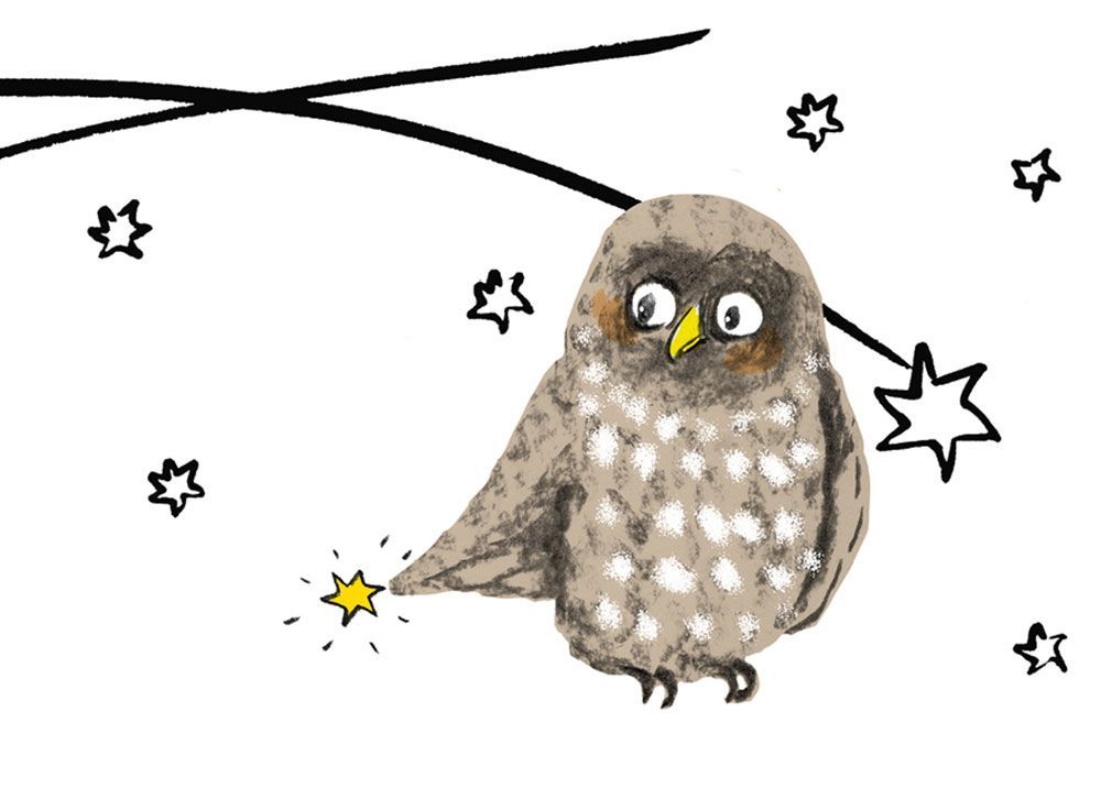 Eule_1  (10 Stück)
