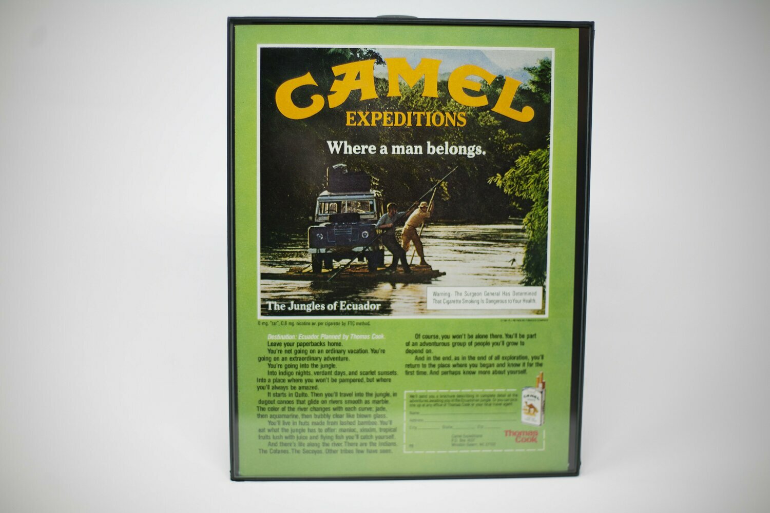 Camel Expeditions