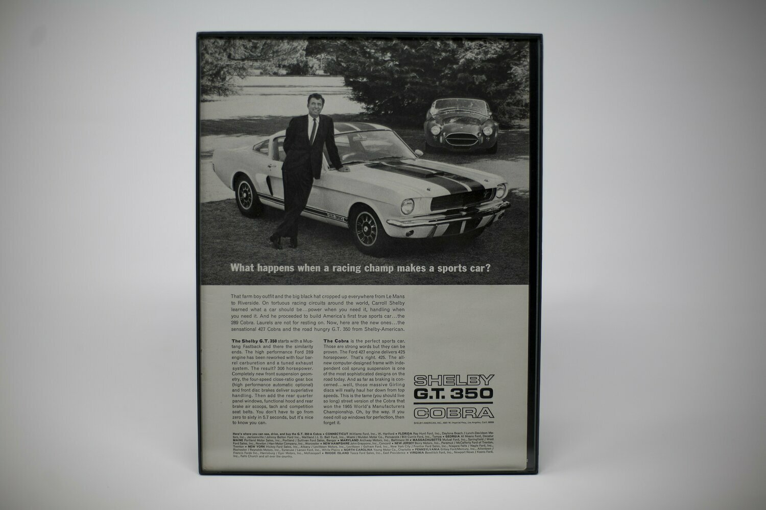 GT350 - A Racing Champ