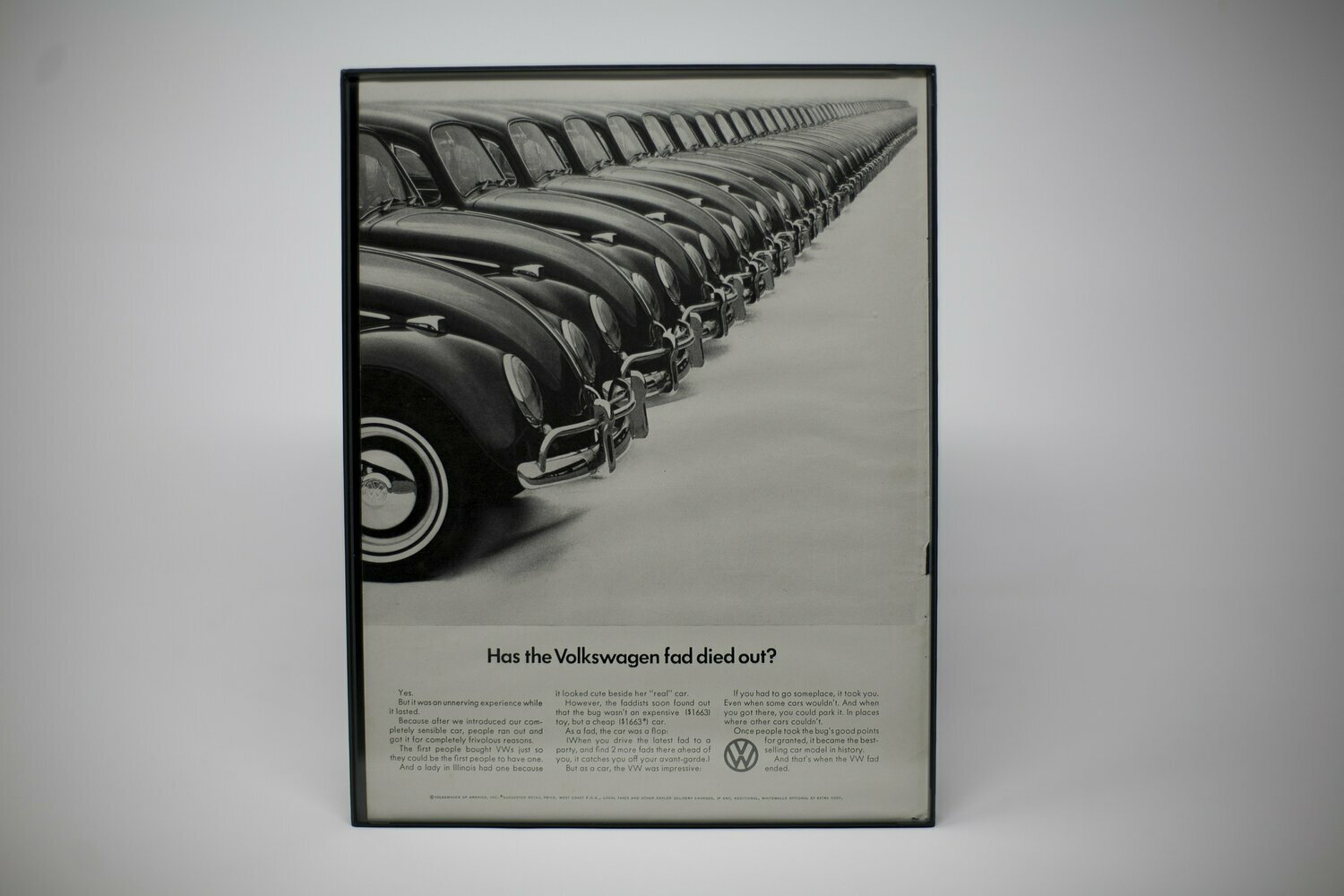 Volkswagen Beetle -  "The Fad"