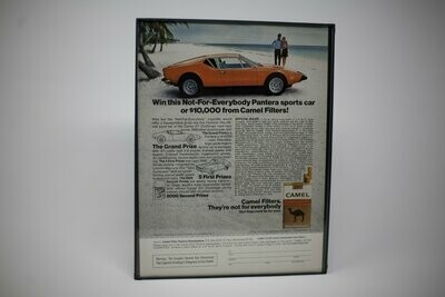 DeTomaso Pantera - Camel Contest