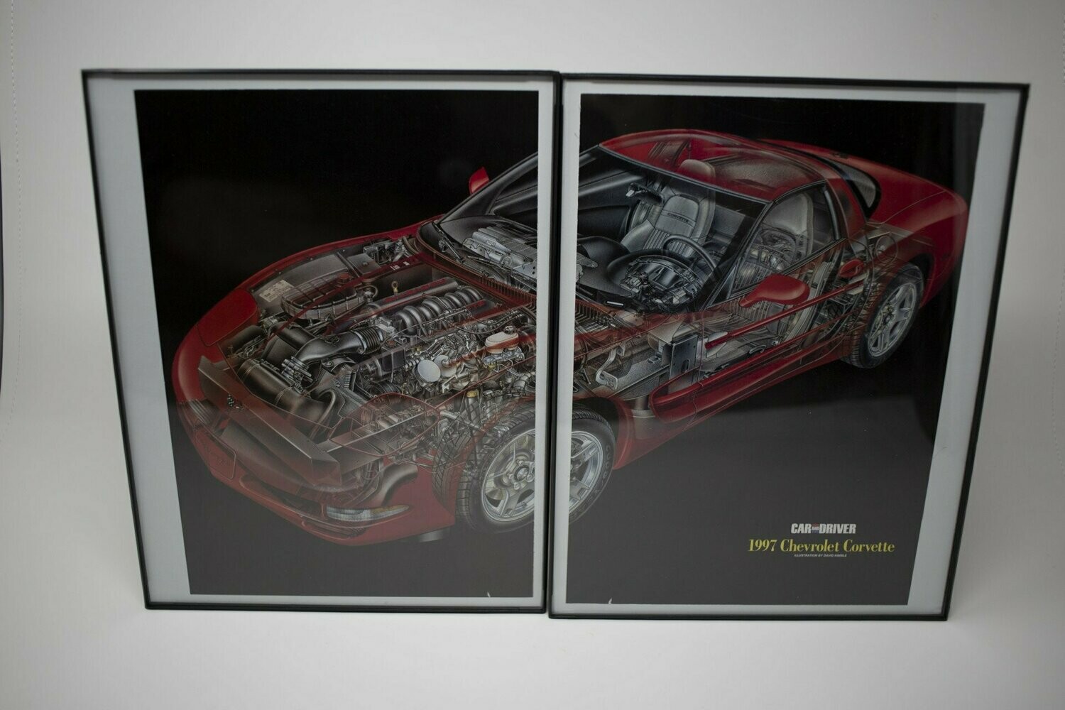 C5 Corvette - Cut Away Dual Frame