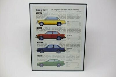 3 Series Family Tree