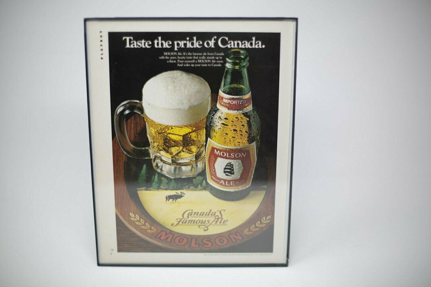 Molson Canadian - Pride.
