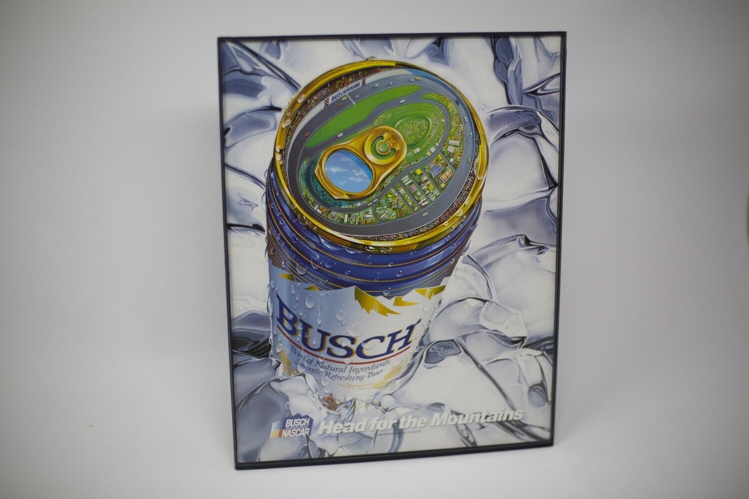 1988 - Nascar - Busch "Head for the Mountains"