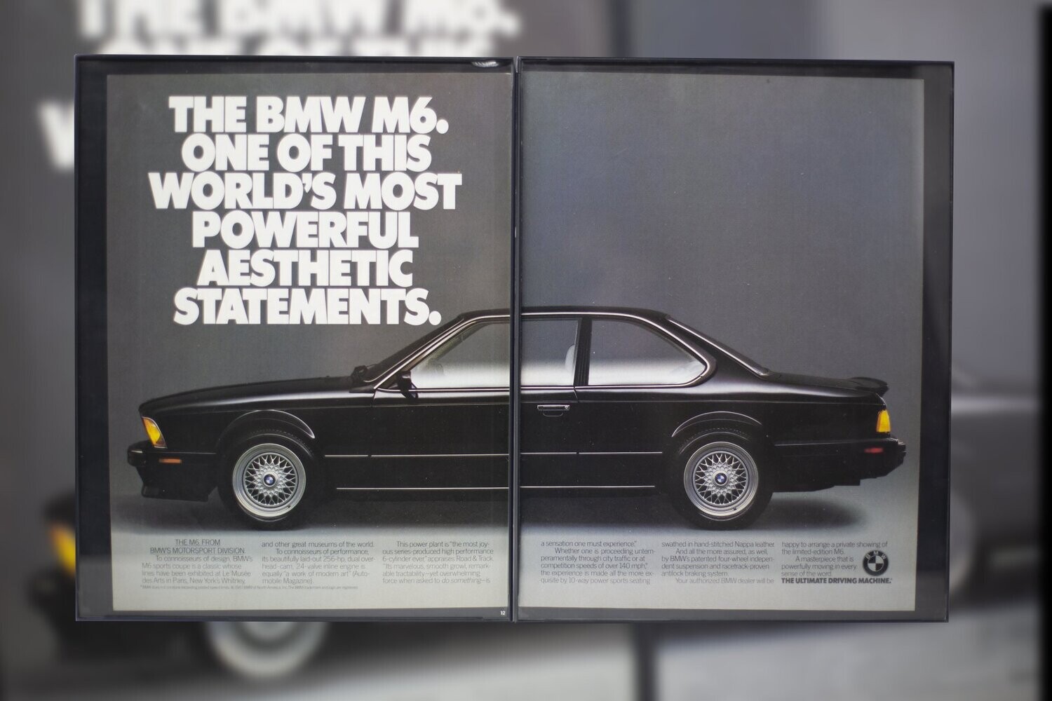 BMW E24 M6 - Aesthetic | Type Schrift.
