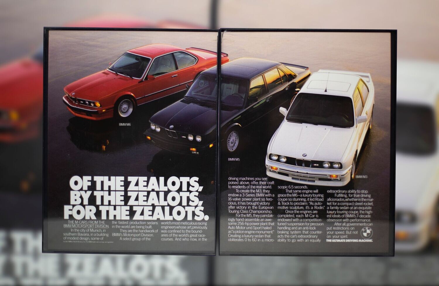 BMW M Power - Zealots | Type Schrift