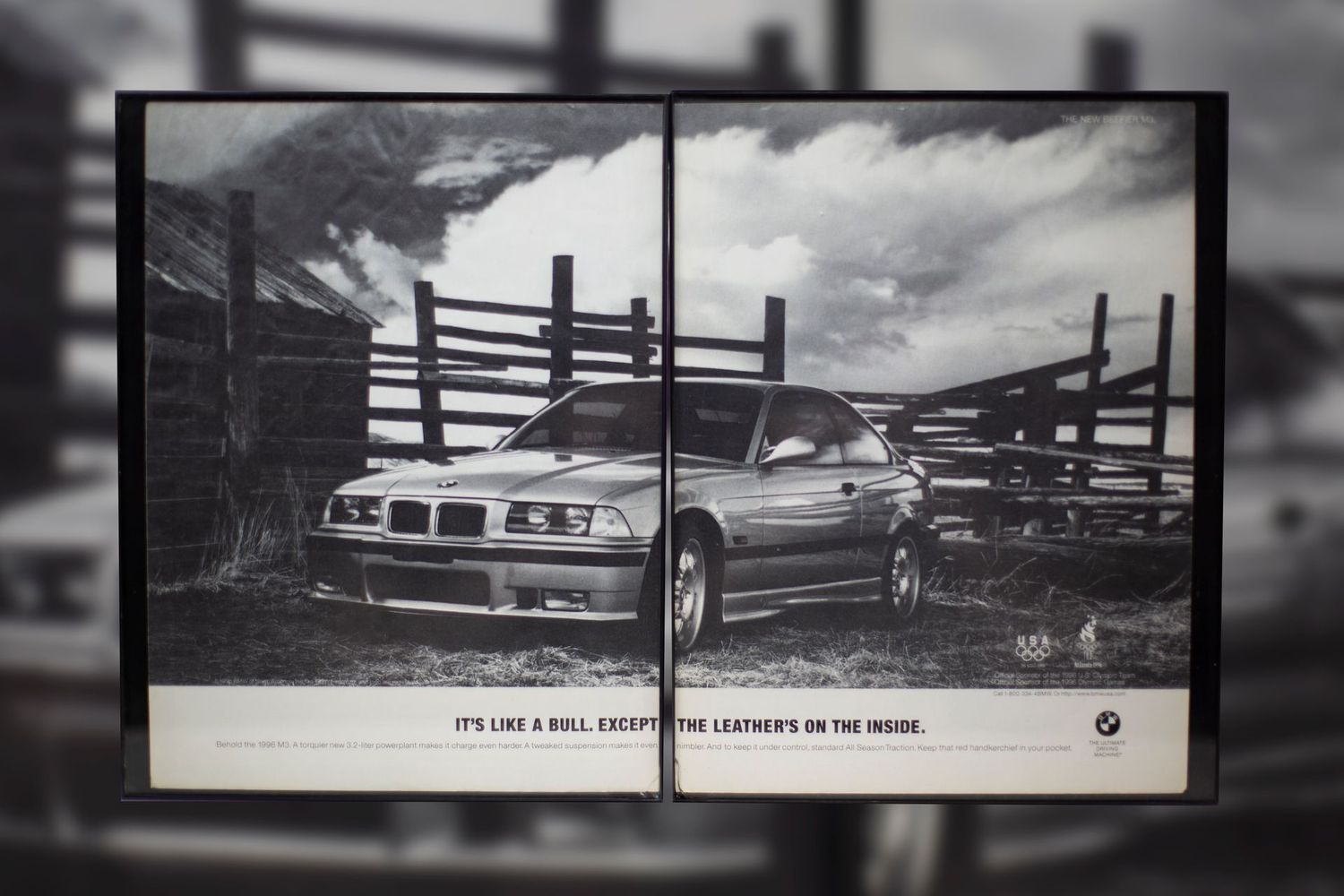BMW E36 M3 - Like a Bull | Type Schrift