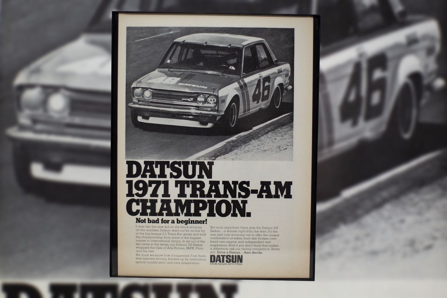Datsun 510 BRE 46 - Trans Am | Type Schrift