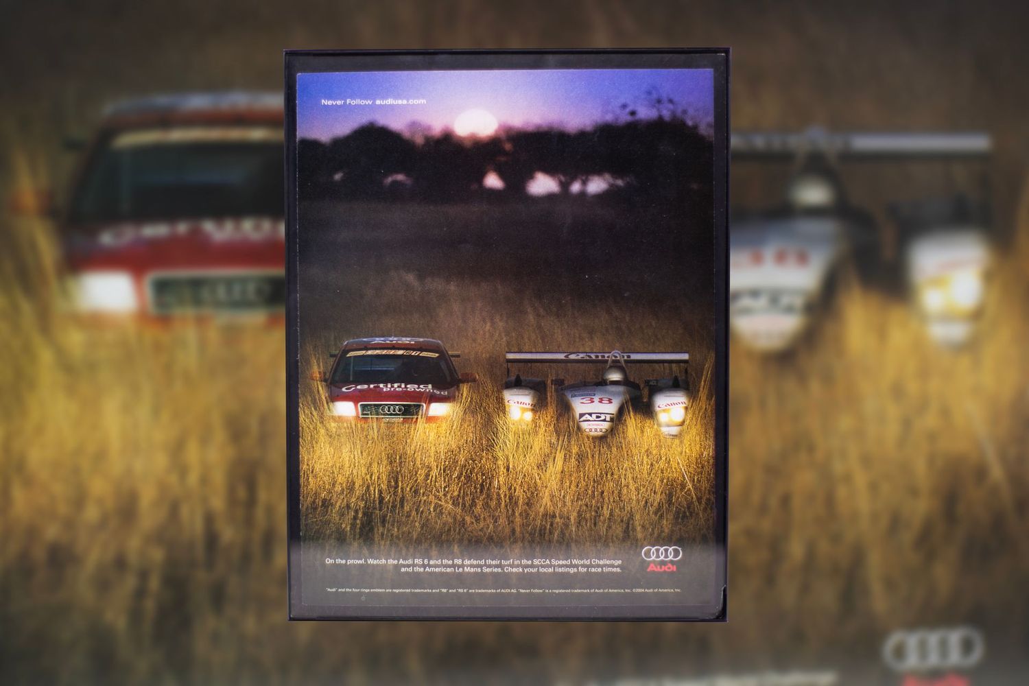 Audi ALMS - RS6 / R8 LMP900 | Type Schrift