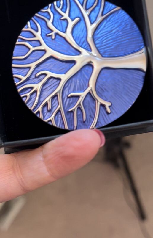 magnetic Brooches 