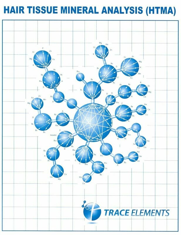 Hair Tissue Mineral Analysis (HTMA)