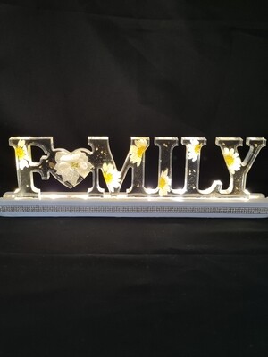 light up "FAMILY" sign