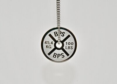 Jewelry - Pendant SS - 45Plate - Large