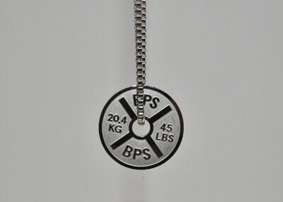 Jewelry - Pendant SS - 45Plate - Small