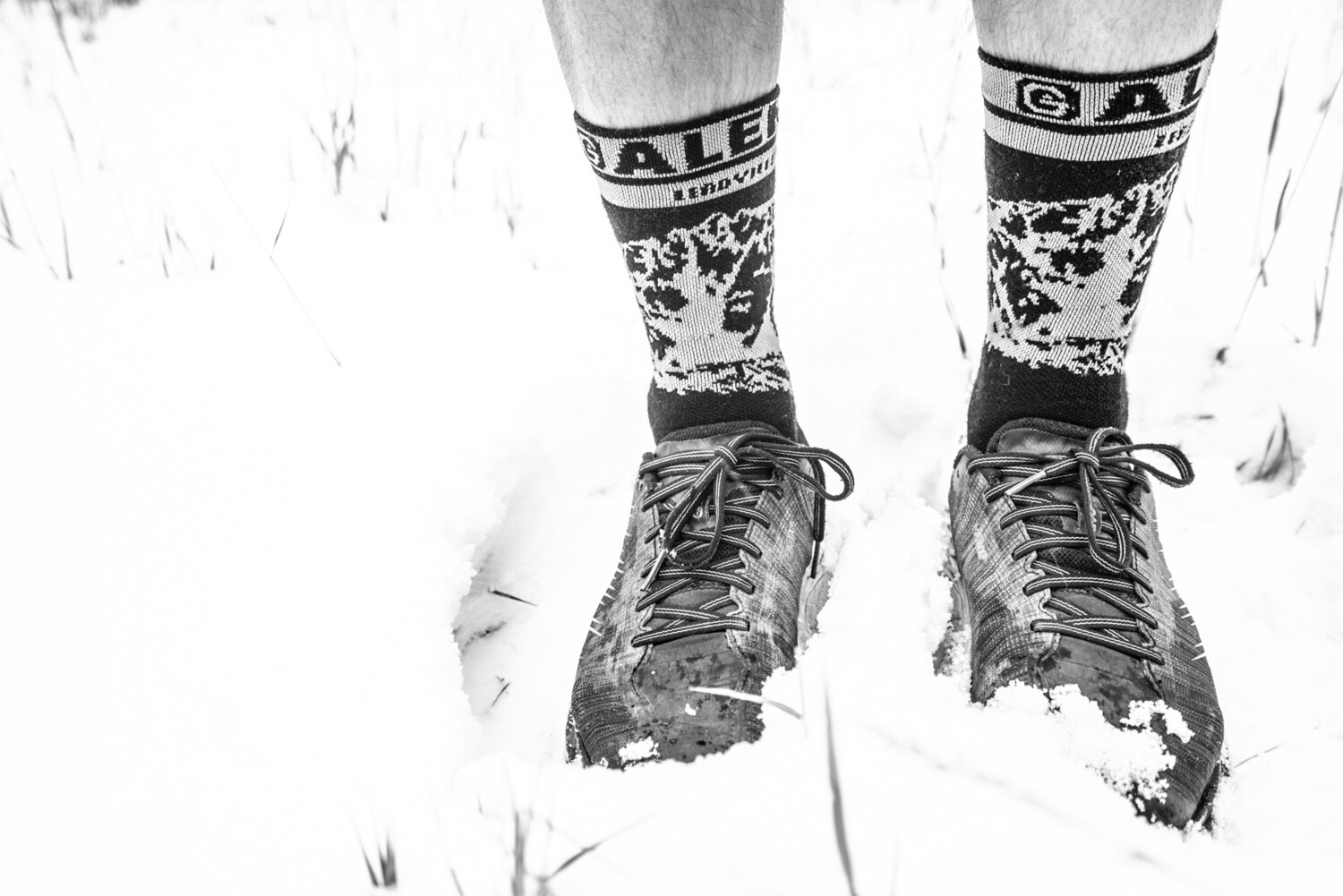 Galena Mountain Socks