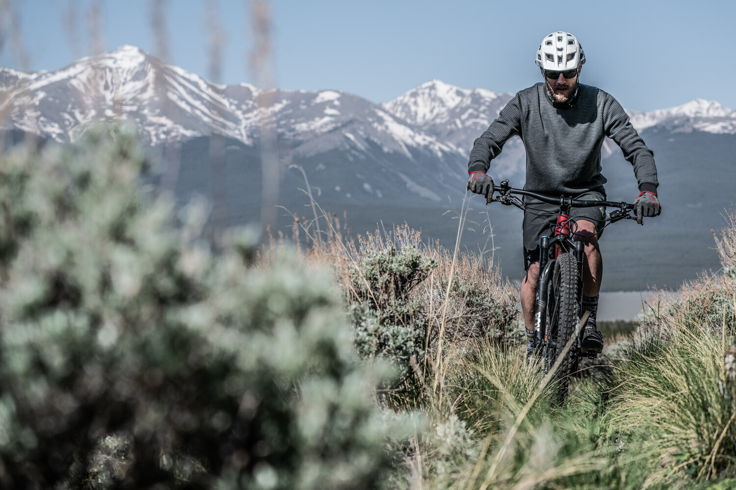 Galena Mountain Merino