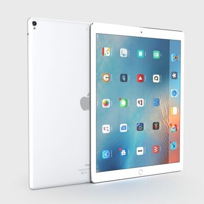 iPad Pro 12.9&quot; 2. GEN Silver