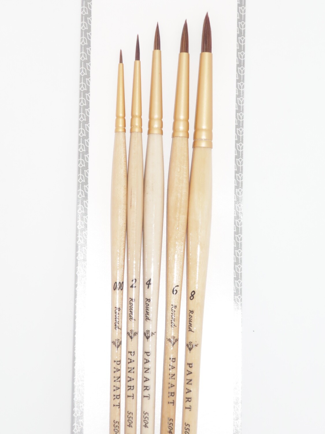 PANART ES-01 Echo Synthetic Brushes set of 5
