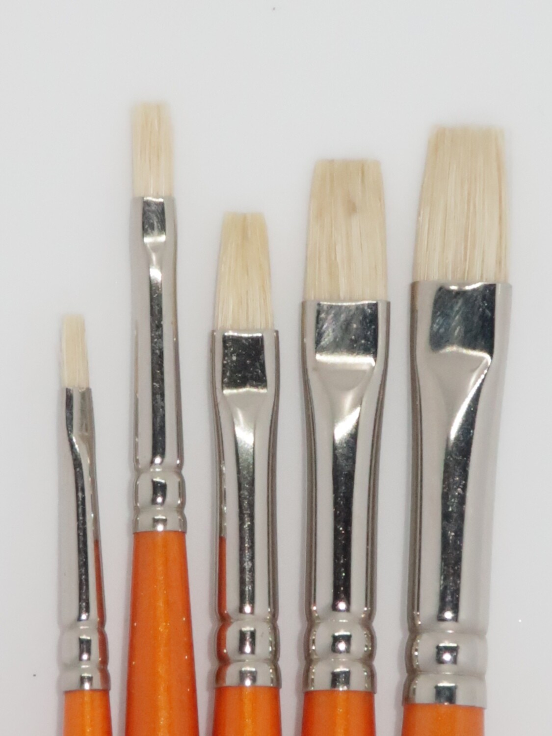 PANART BS-02 Natural Bristle Brushes set of 5