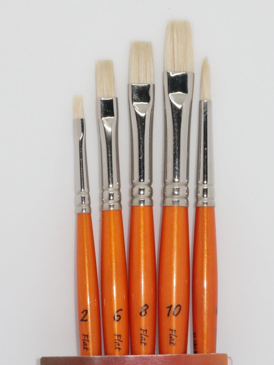 PANART BS-01 Natural Bristle Brushes set of 5