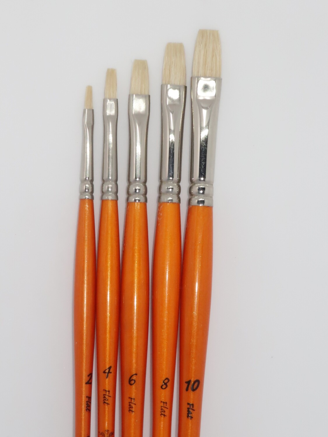 PANART BL-01 Natural Bristle Brushes set of 5