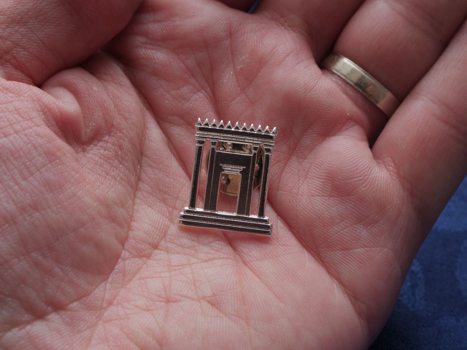 סיכה זיו המקדש