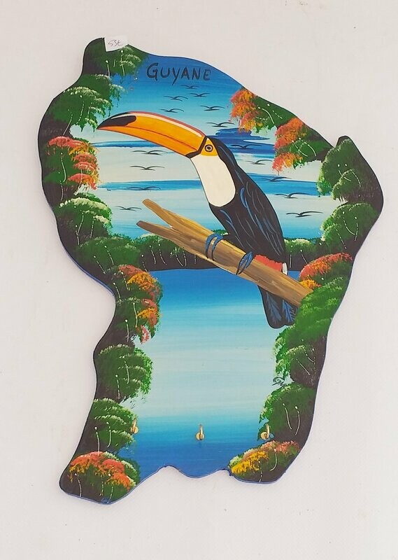 Carte guyane  peint toucan  40 cm x 28 cm