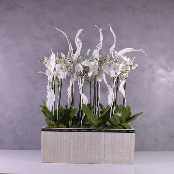 Polysone orchid Plantervase