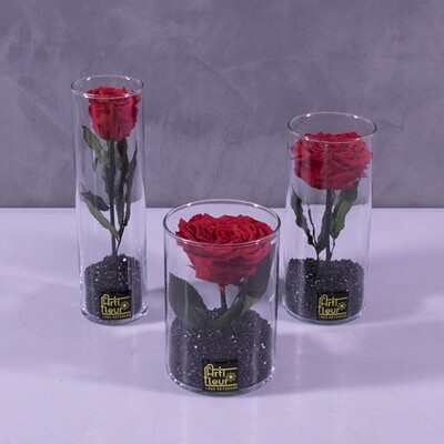 only roses preserved set