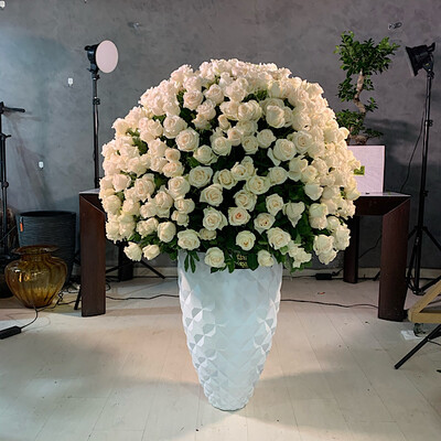 White Roses Design
