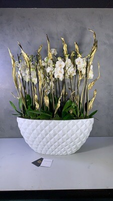 Delux Xxl Orchids Wit Gold Leafs