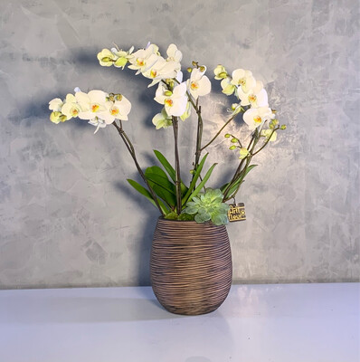 Egg Capi Vase With 4 Orchid Sticks