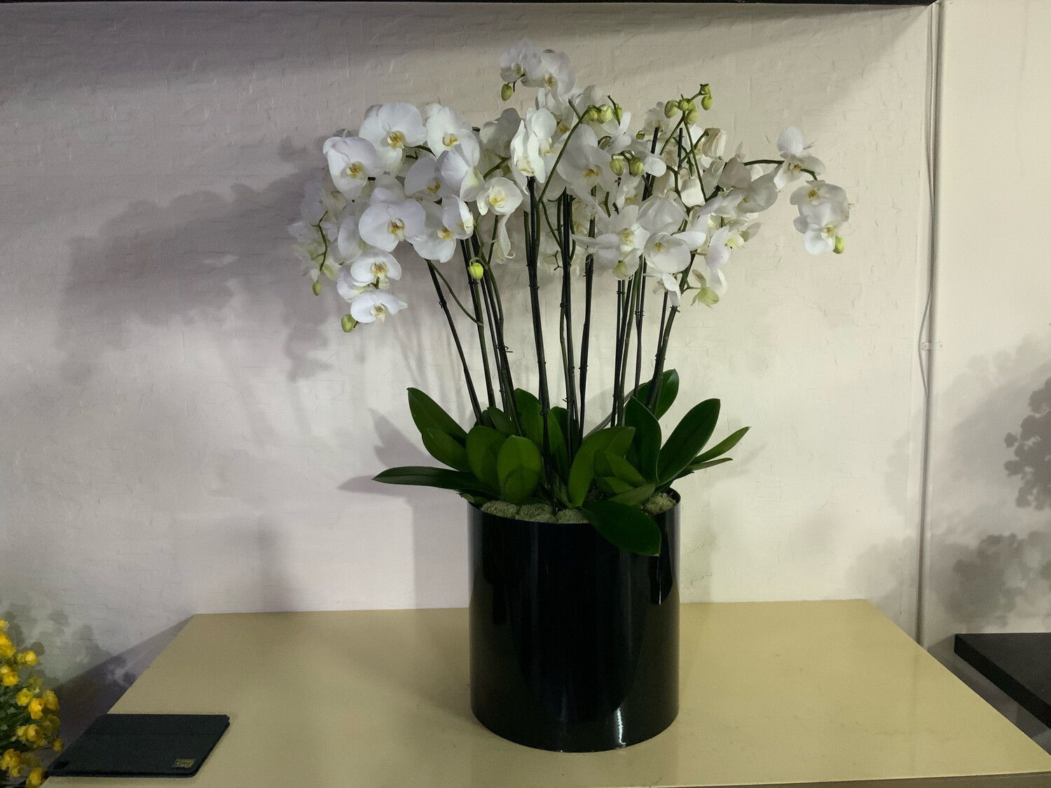 Allu Design Vase With 16 orchids Sticks