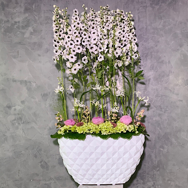 White delphinium arrangement 120 cm