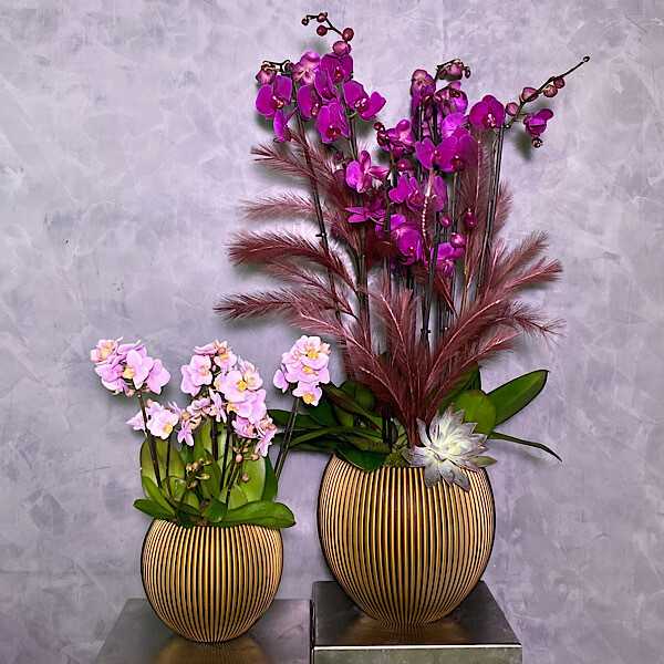Purple And Pink Orchids Set